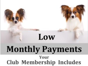 Dr B Wellness Club low monthly payments